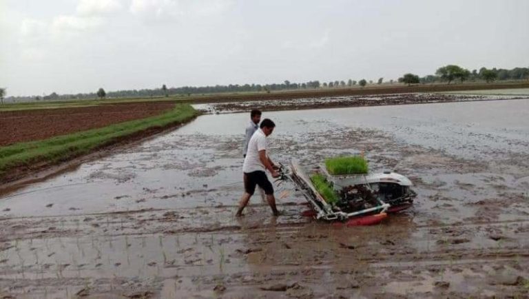 WhatsApp Image 2021-06-15 at 10.25.16 AM