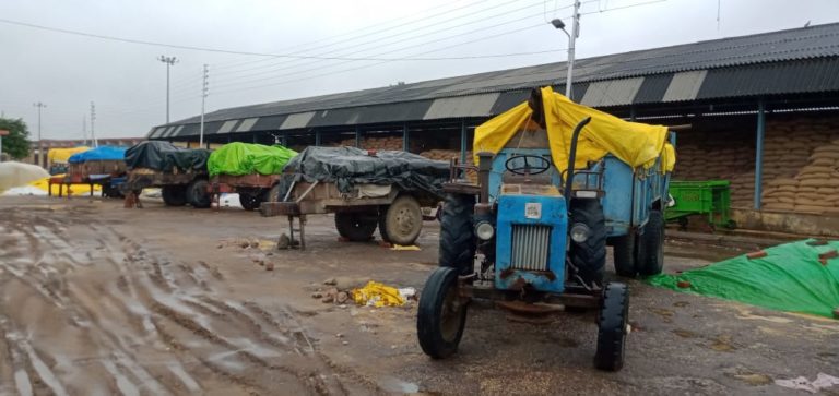 WhatsApp Image 2021-06-19 at 5.00.21 PM