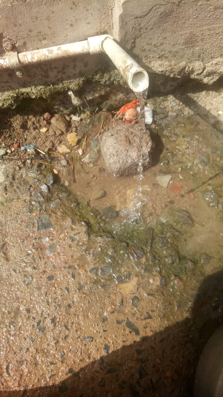 WhatsApp Image 2021-06-20 at 11.10.08 AM