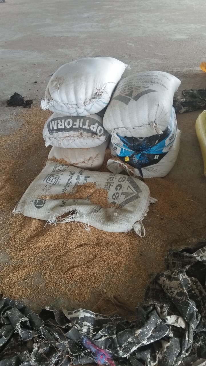 WhatsApp Image 2021-06-20 at 11.24.43 AM