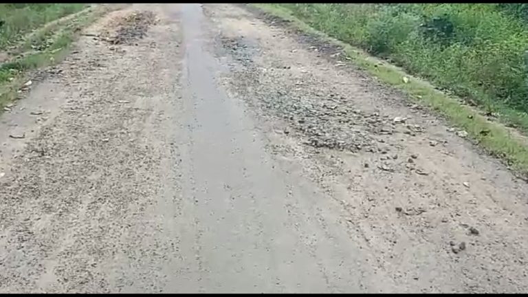 Screenshot_20211121_175100