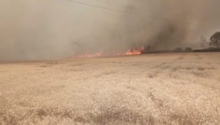 Screenshot_2022-04-01-21-50-18-63_6012fa4d4ddec268fc5c7112cbb265e7