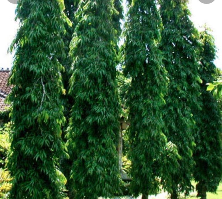 Screenshot_2022-05-13-15-36-46-36_680d03679600f7af0b4c700c6b270fe7__01