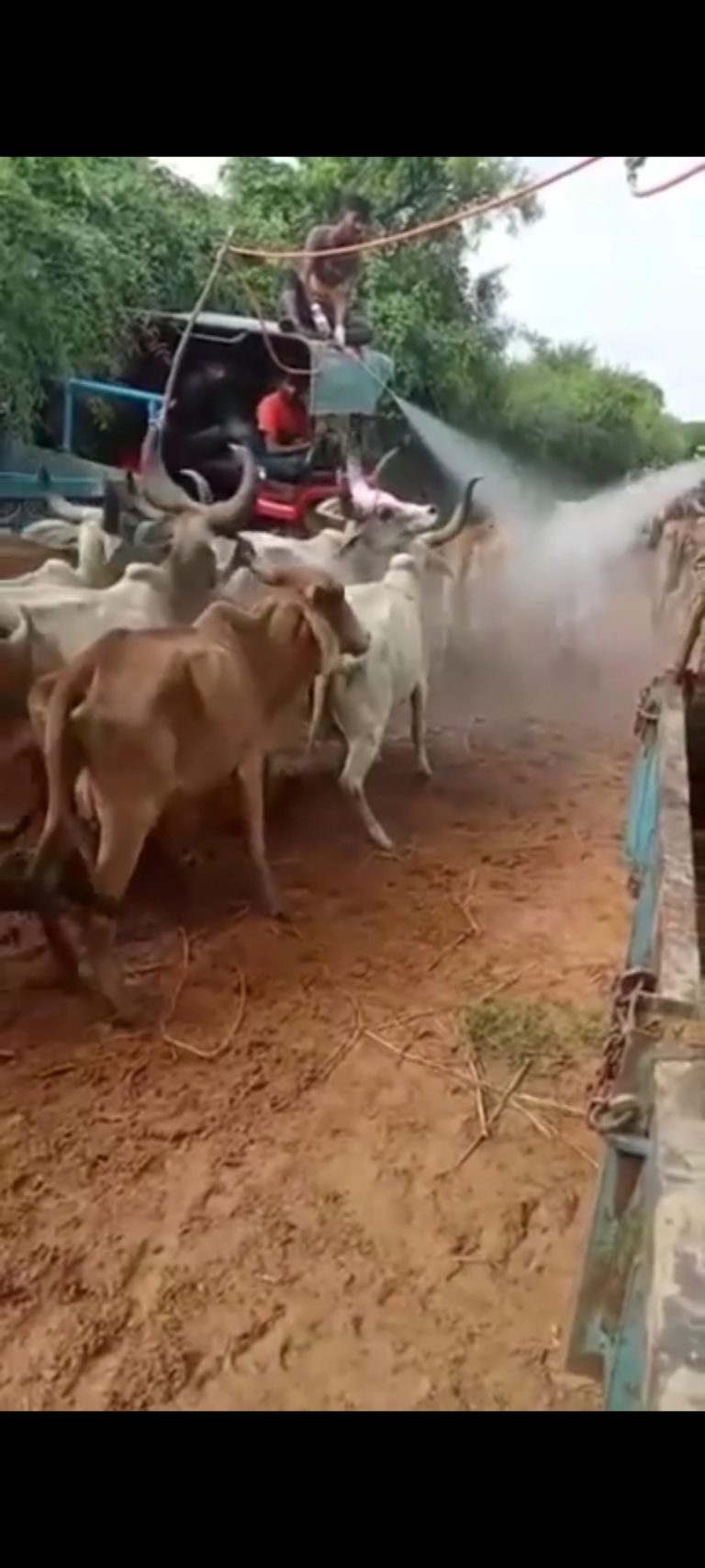 Screenshot_2022-08-05-11-28-36-43_7352322957d4404136654ef4adb64504