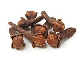 cloves uses, clove spice, clove herb, clove tree, clove flower, family of clove, benefits of cloves to a woman, clove seeds