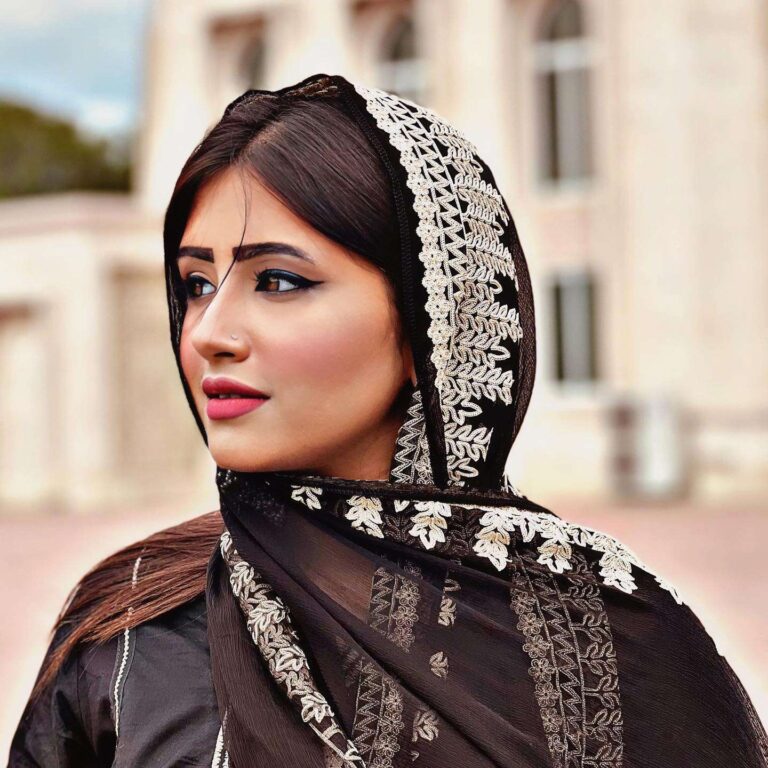 Paras Mahira Bigg Boss