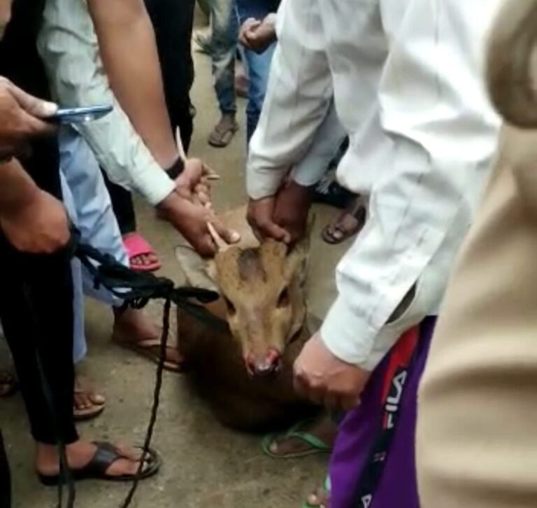 IMG_20230501_145055_564