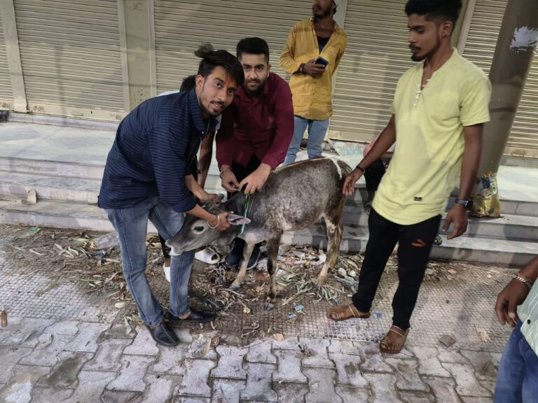 IMG_20230513_175831_701