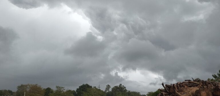 IMG_20230626_161814_274