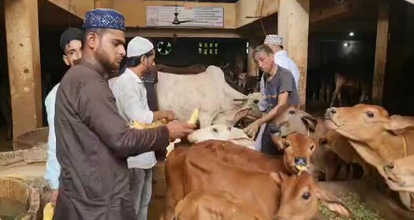 IMG_20230630_084223_125