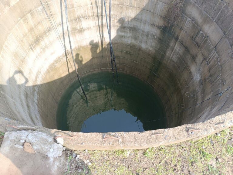 IMG_20230705_075120_723