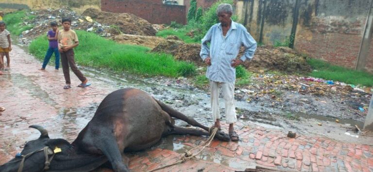 IMG_20230709_194851_635