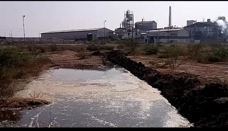 IMG_20230714_104935_187