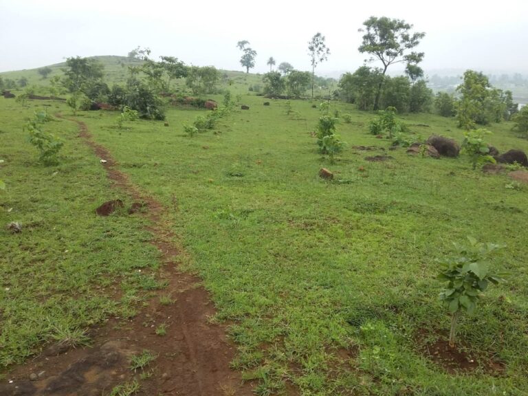 IMG_20230716_190439_863