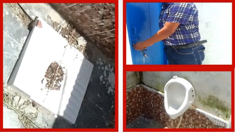 IMG_20230731_101833_571