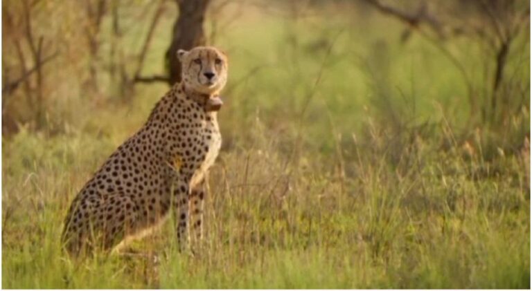 IMG_20240117_214350_694