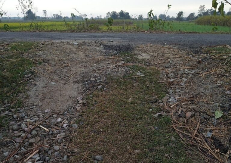 IMG_20240201_222435_899