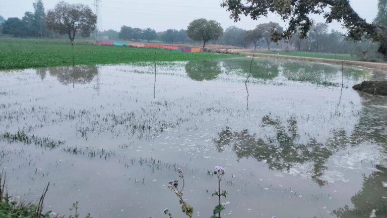 IMG_20240206_223837_944