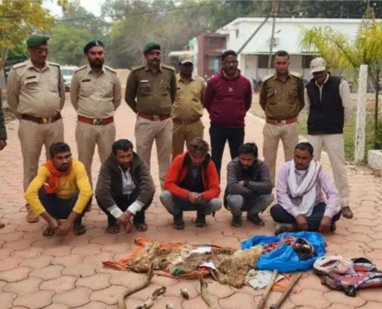 IMG_20240206_230535_232