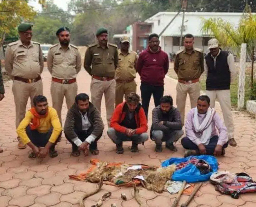 IMG_20240206_230535_232