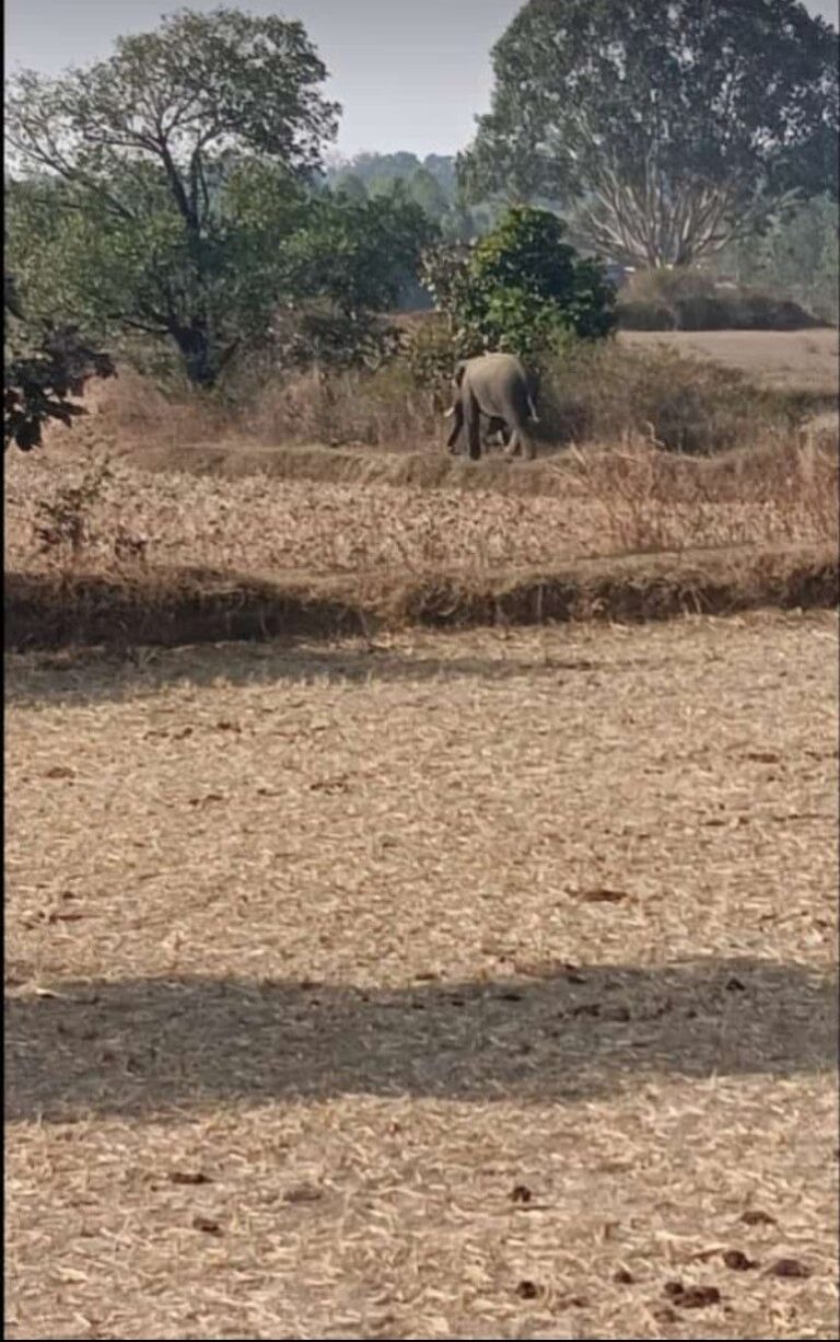 IMG_20240208_212442_244