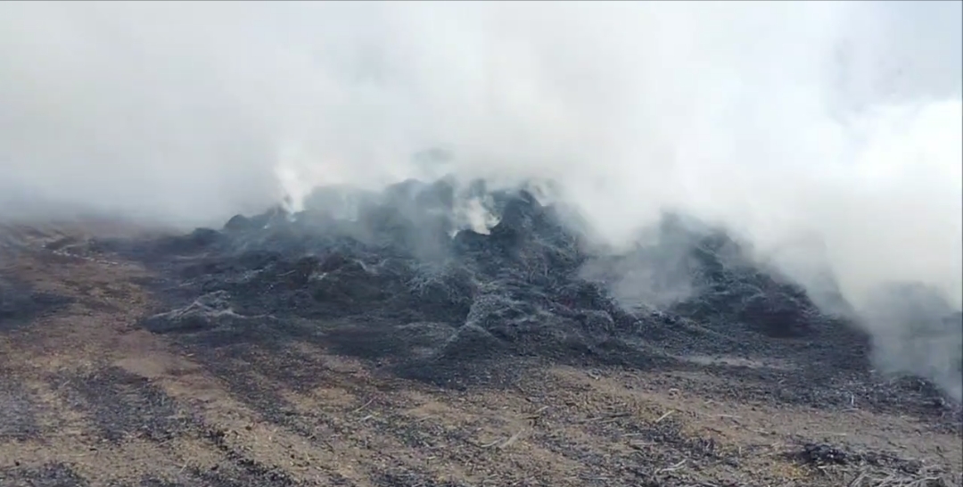 Screenshot_2024-03-12-21-28-05-62_948cd9899890cbd5c2798760b2b95377