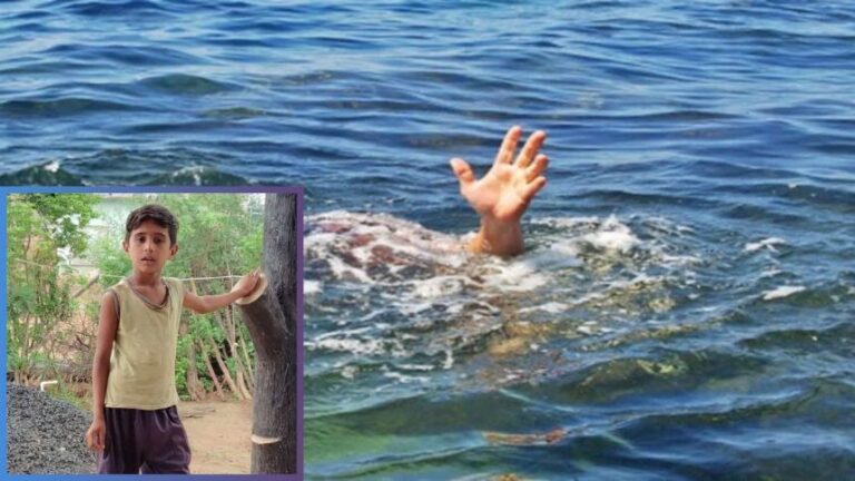 IMG_20240722_123508_945