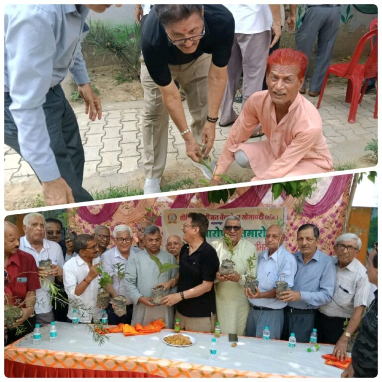 IMG_20240802_134008_705