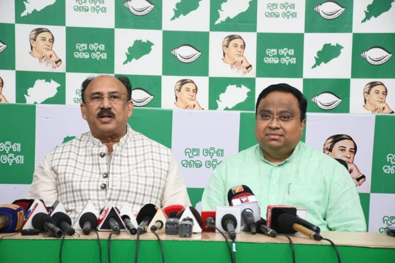 IMG_20240925_144530_380