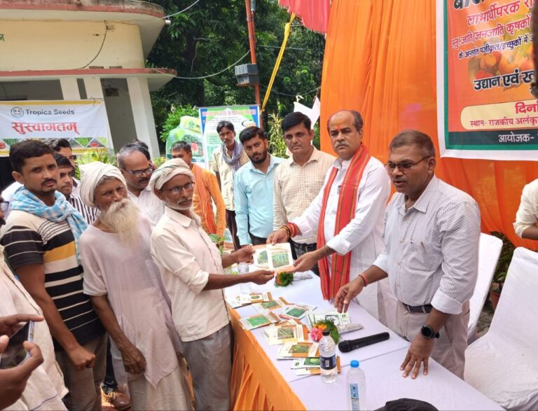 IMG_20241001_205709_562