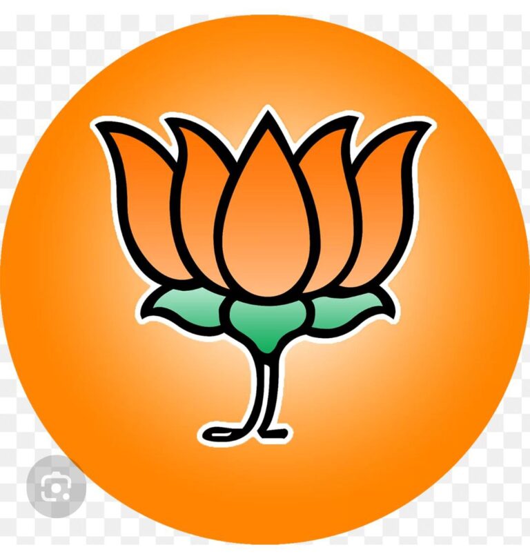 IMG_20241008_210211_540