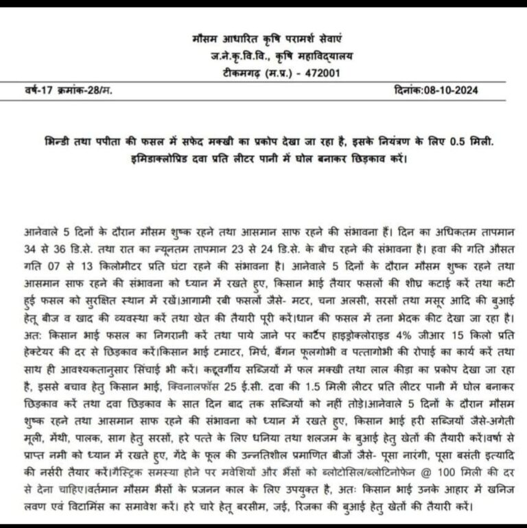 IMG_20241009_104822_695