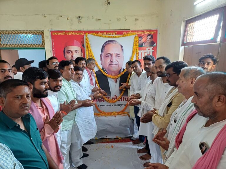 IMG_20241010_205713_621