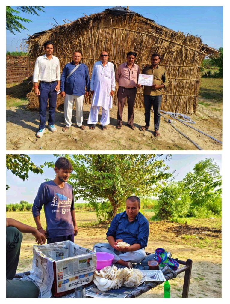 IMG_20241010_211208_286