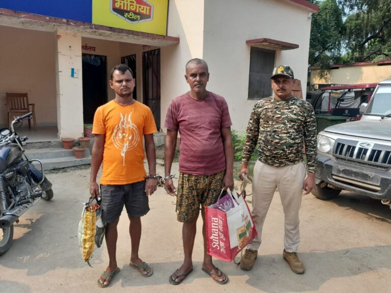 IMG_20241011_171431_945