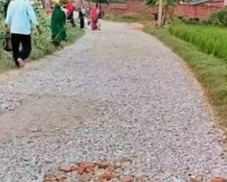 IMG_20241012_161218_148