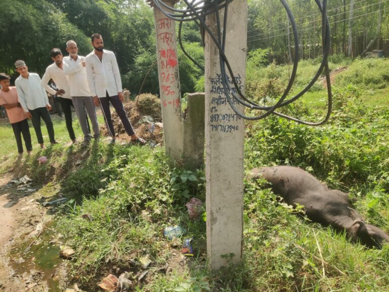 IMG_20241013_151623_063