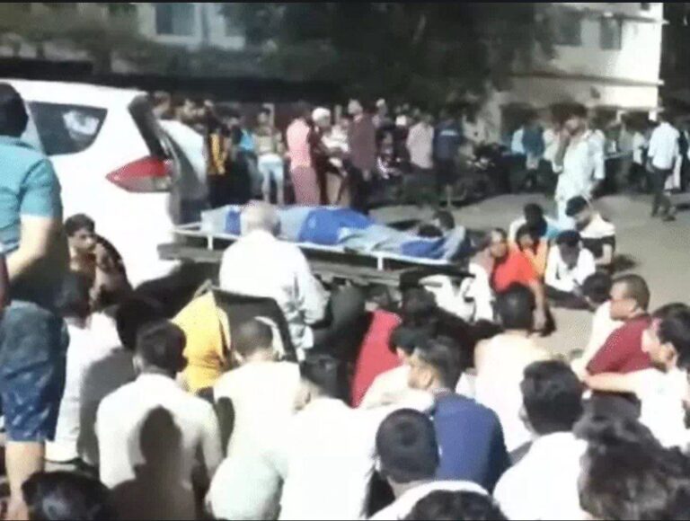 IMG_20241015_114118_334