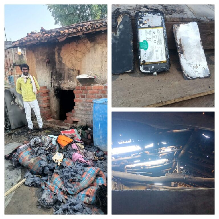 IMG_20241015_115119_373