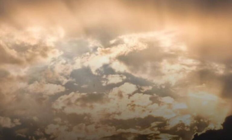 IMG_20241015_120321_569