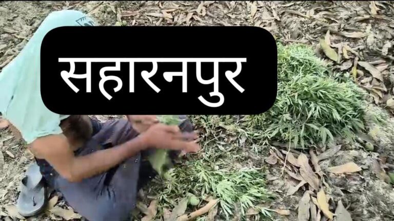 IMG_20241015_154658_990