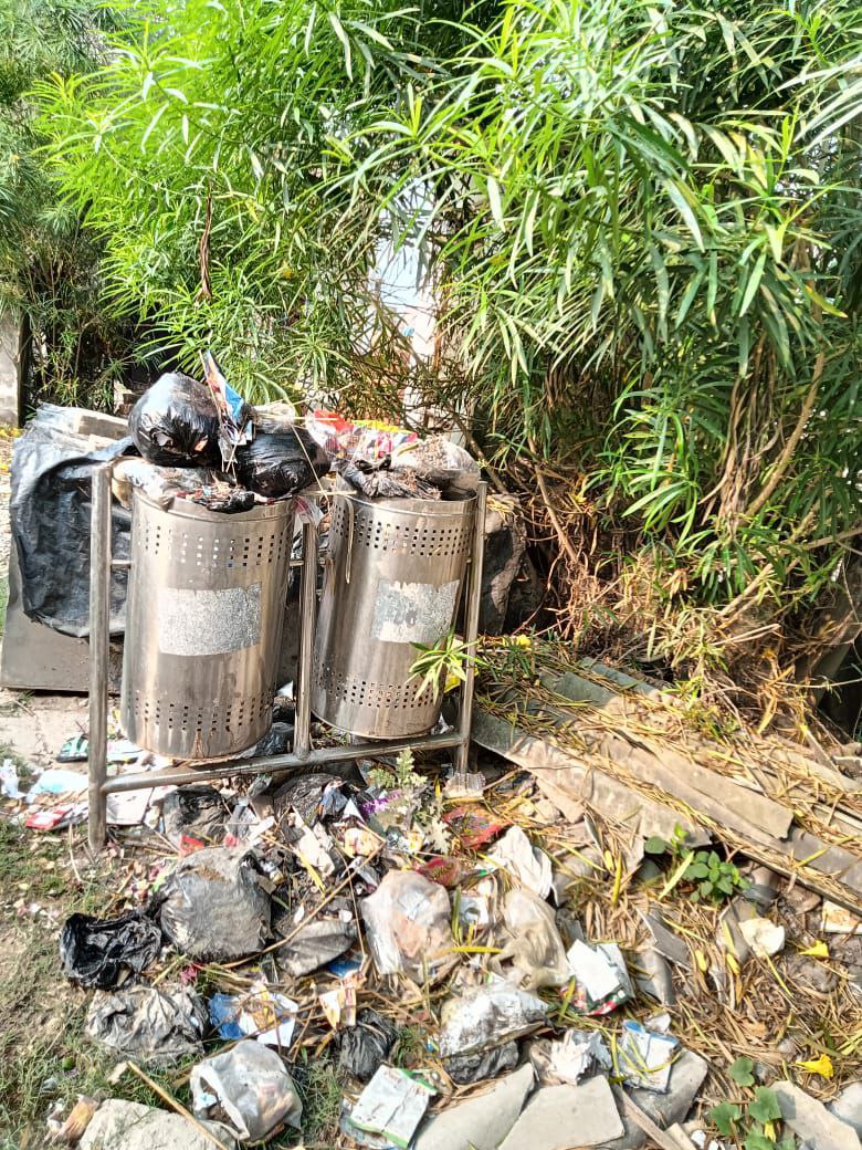 IMG_20241022_155044_957