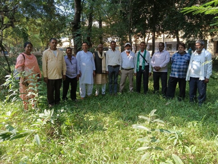 IMG_20241103_193459_682