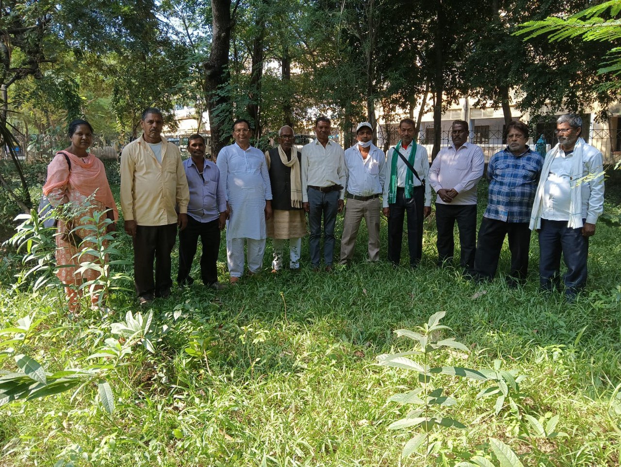 IMG_20241103_193459_682