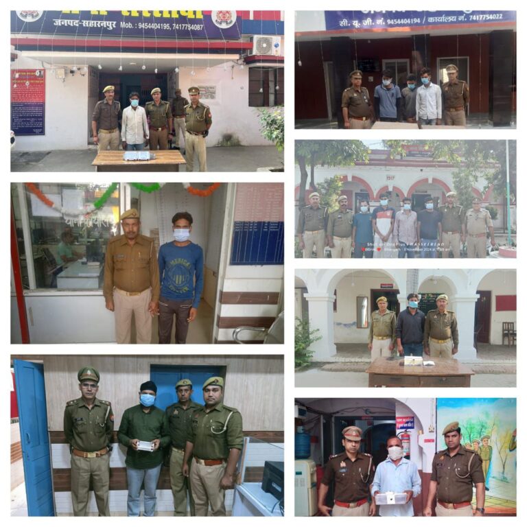 IMG_20241104_114408_839