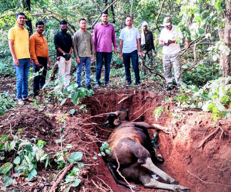 IMG_20241104_142654_383