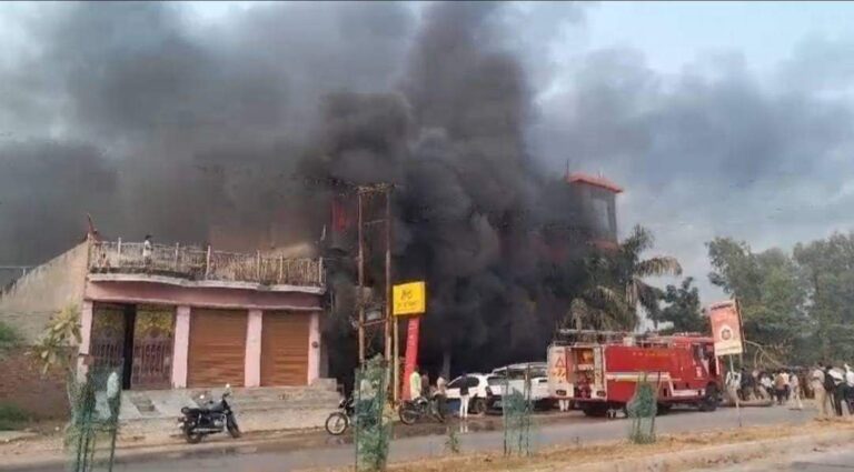 IMG_20241106_084411_489