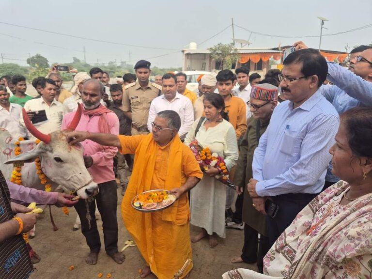 IMG_20241106_174032_538