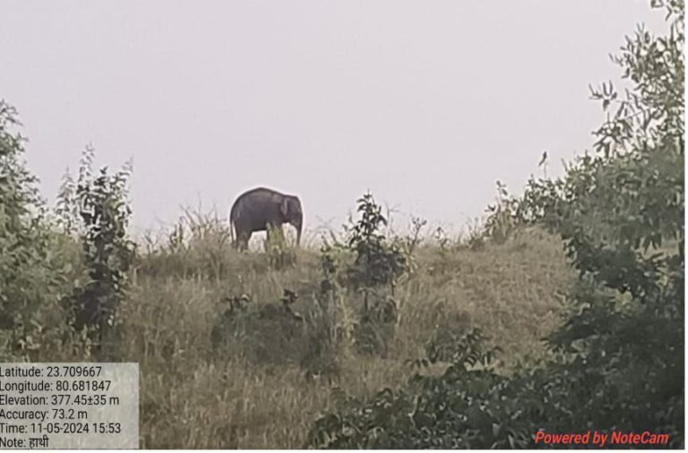 IMG_20241107_122315_350