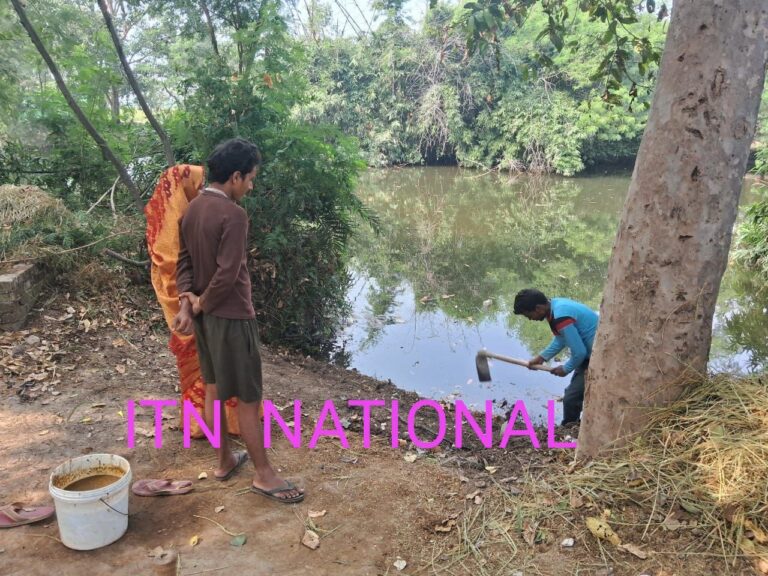 IMG_20241107_141419_465